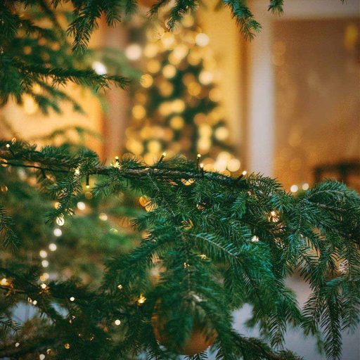 LED světelný řetěz s možností výběru velikosti a barvy - 480 LED, teplá bílá