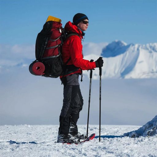 Teleskopická vycházková hůl, 1 pár