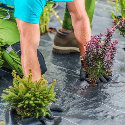 PP krycí fólie na půdu 50 m